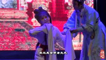 驸马国产综合视频,驸马传奇，宫廷风云再现