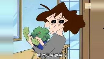 国产公安动画片大全视频,守护正义的青春风采