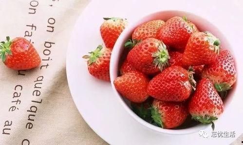 国产草莓视频大全儿童版,国产草莓视频大全儿童版欢乐时光